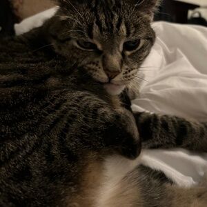 Meet your Posher, Isabella